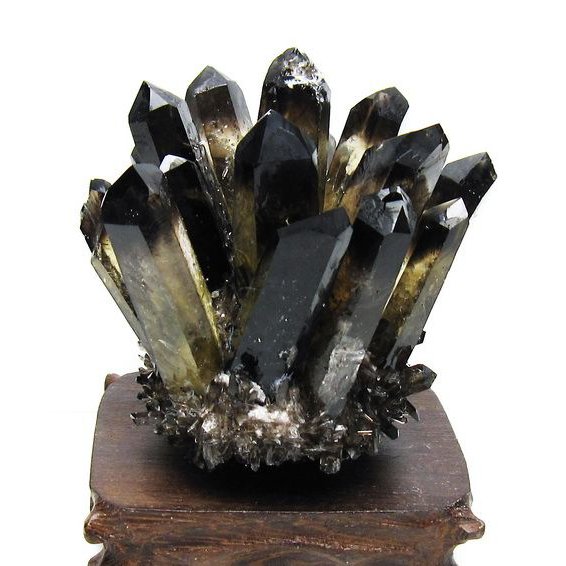 黒水晶 ブラッククォーツ クラスター [t802-5941]