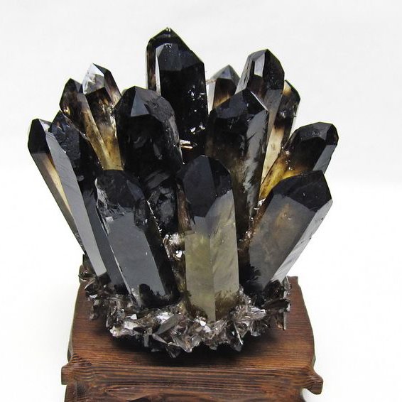 黒水晶 ブラッククォーツ クラスター [t802-6539]