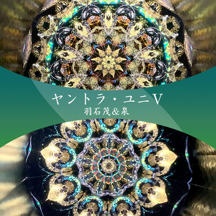 羽石 茂＆泉「ヤントラ・ユニ5」（HS6030）2ミラー・オイルタイプ