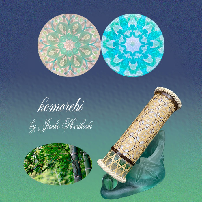 堀越_HJ8001