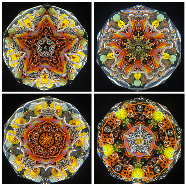 ジュディス・ポール_Stories_Halloween_2