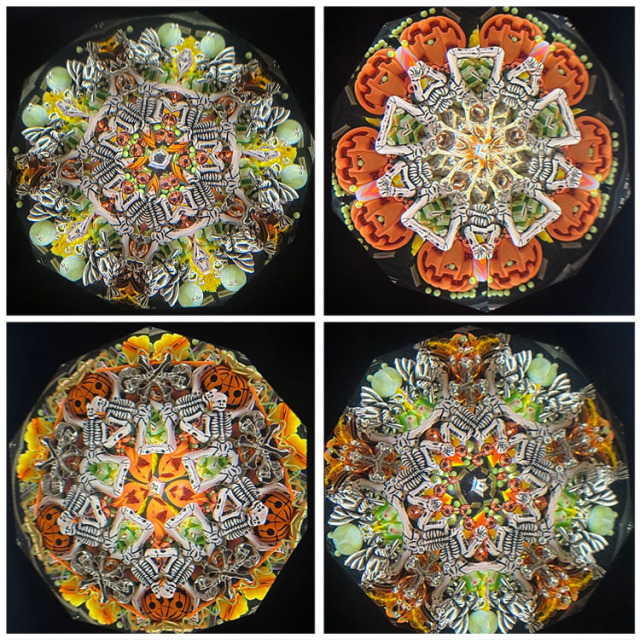 ジュディス・ポール_Stories_Halloween_4