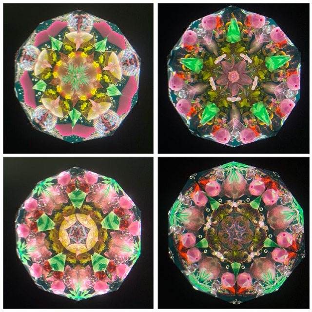 ジュディス・ポール_Wraps_BV._1