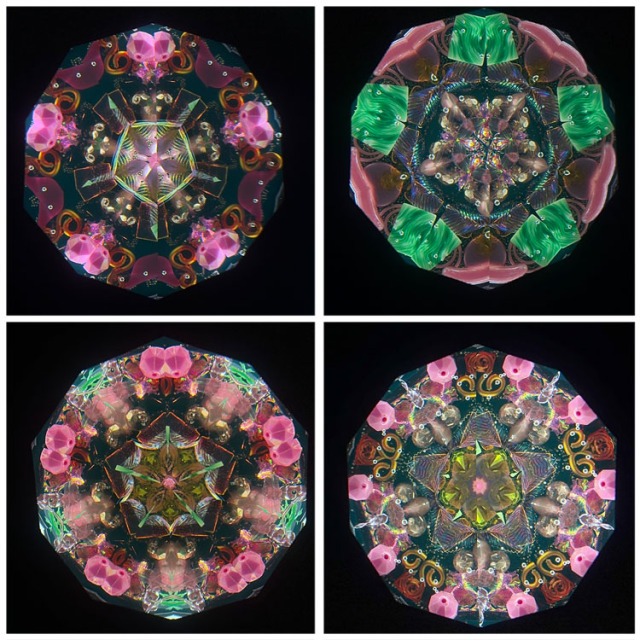 ジュディス・ポール_Wraps_BV._3