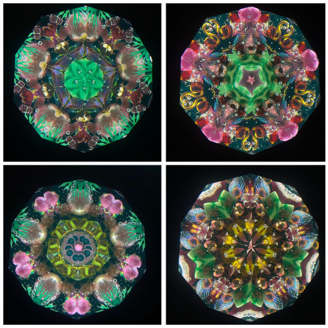 ジュディス・ポール_Wraps_BV._4