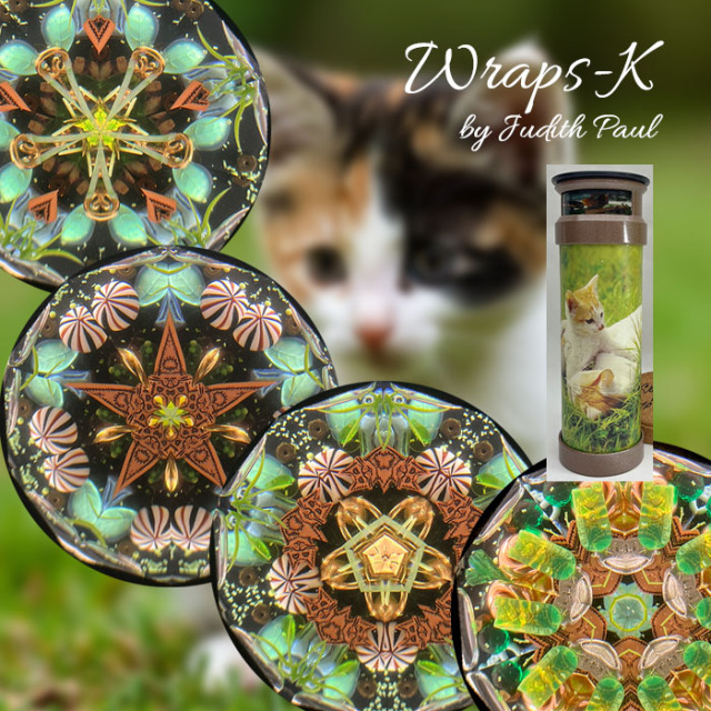 ジュディス・ポール_raps_K