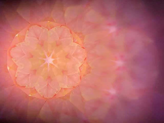 Chie_CE6012_メイン