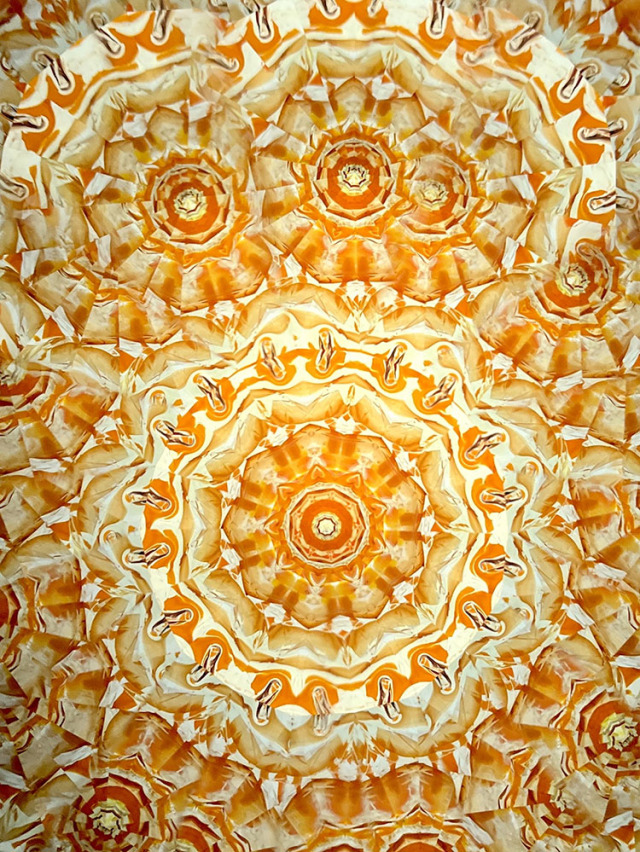 林和子_HK1083_メイン