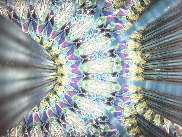 林和子_HK3011_7