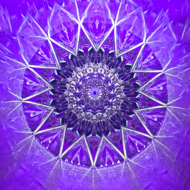 林和子_HK6017_メイン1