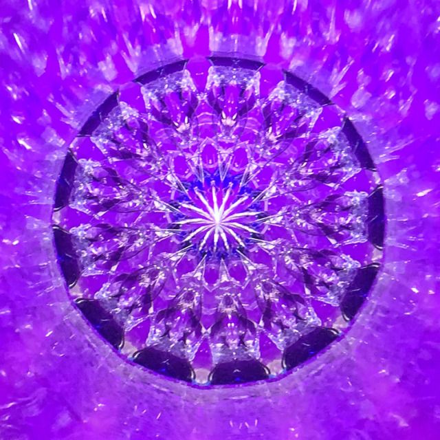 林和子「リフレクション パープル」ホワイトバック（HK6017）特殊2