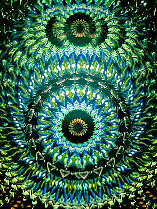 林和子_HK6024_メイン