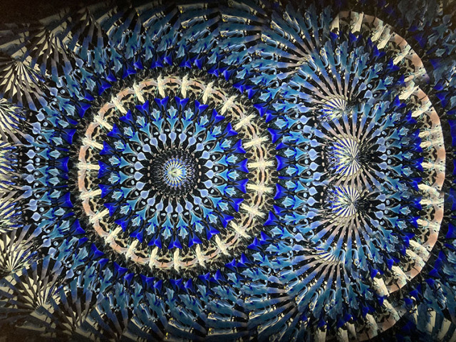 林和子_HK6027_メイン1