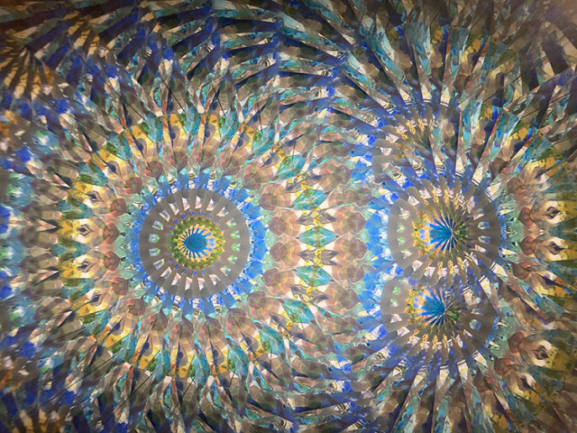 林和子_HK7001_メイン_11