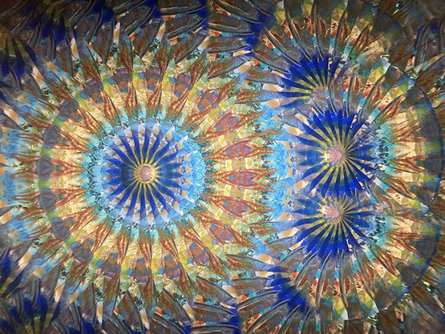 林和子_HK7001_メイン_12