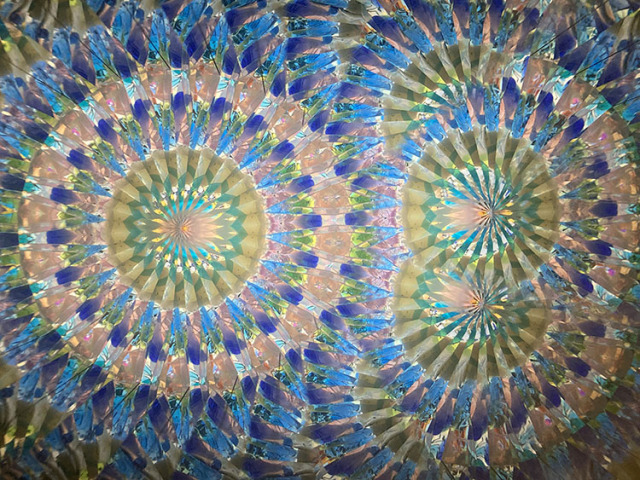 林和子_HK7001_メイン_5