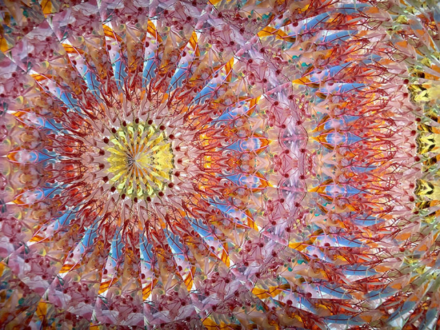 林和子_HK7002_メイン