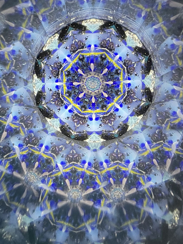 林和子_HK7026_1