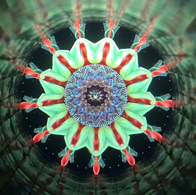 本間 祐輔「喜びの機械・The Machineries of Joy」（HY4001）2ミラー