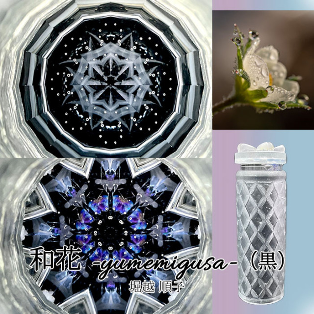 堀越_HJ4003_02