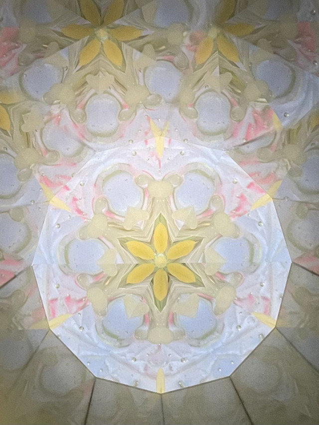 堀越_HJ8003_14