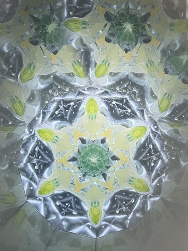 堀越_HJ8003_3
