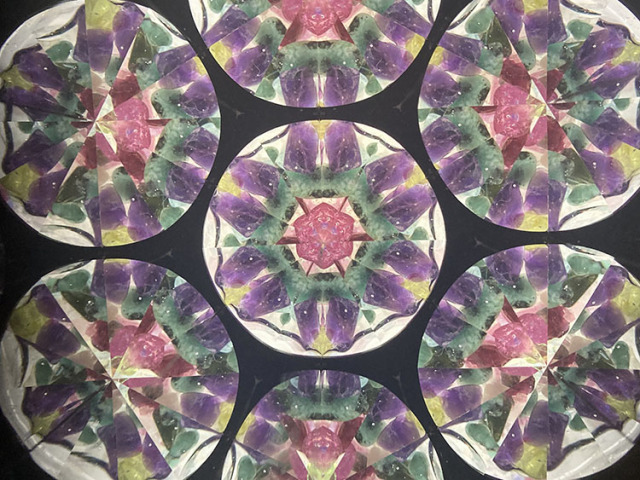 松平_MD7007_メイン