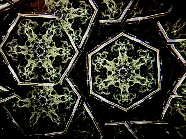 松田隆一_MR5011_1