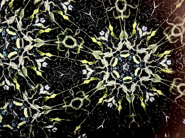 松田隆一_MR5011_12