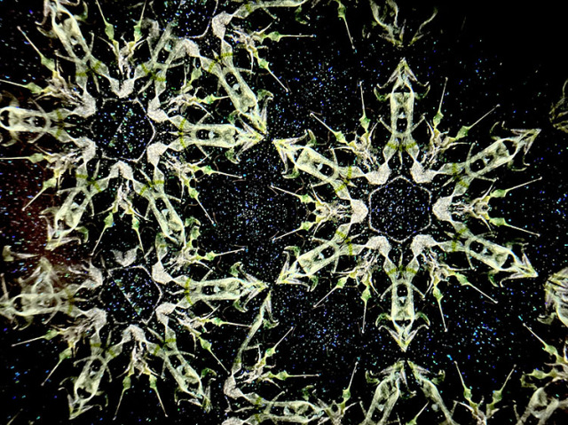 松田隆一_MR5011_15