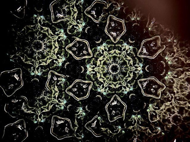 松田隆一_MR5011_5