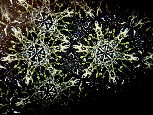 松田隆一_MR5011_9