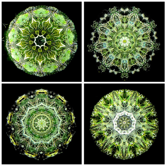 松田隆一_MR6012_2