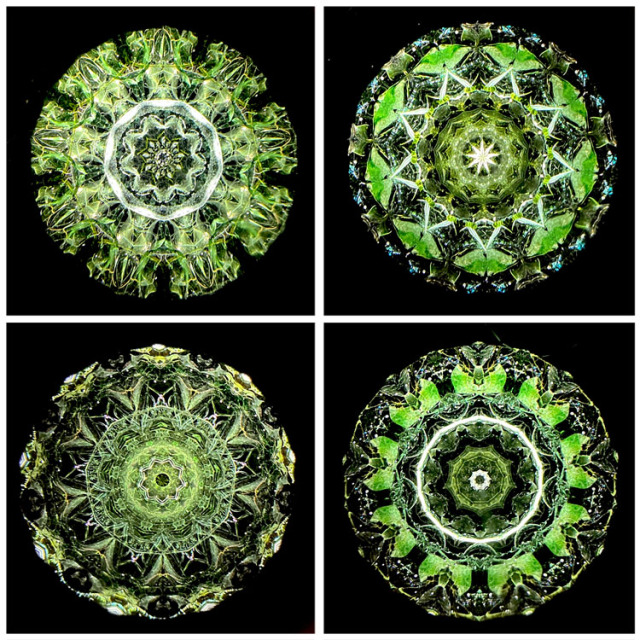 松田隆一_MR6012_3