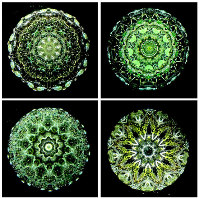 松田隆一_MR6012_4