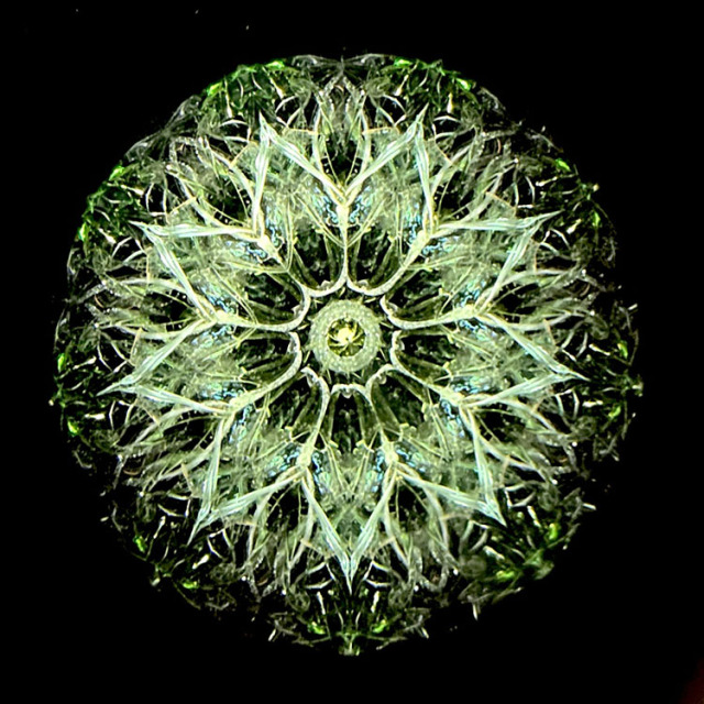 松田隆一_MR6012_メイン1