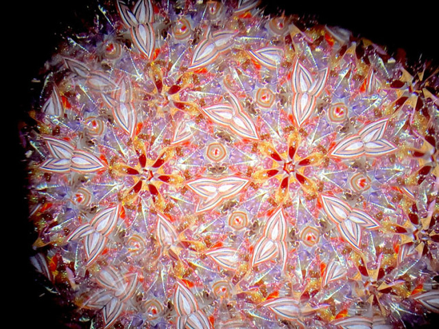 松田隆一_MR6015_13