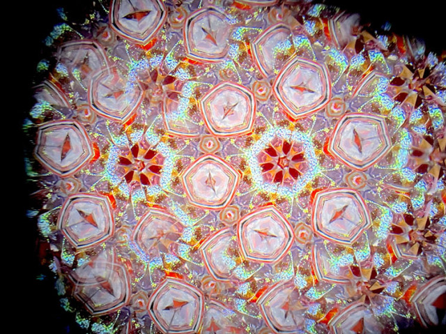 松田隆一_MR6015_14