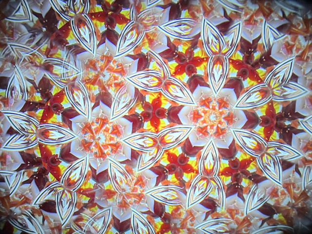 松田隆一_MR6015_2