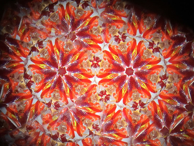 松田隆一_MR6015_5