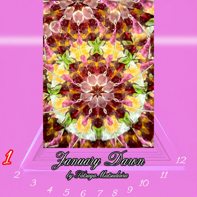 松平_MD7008_龍也