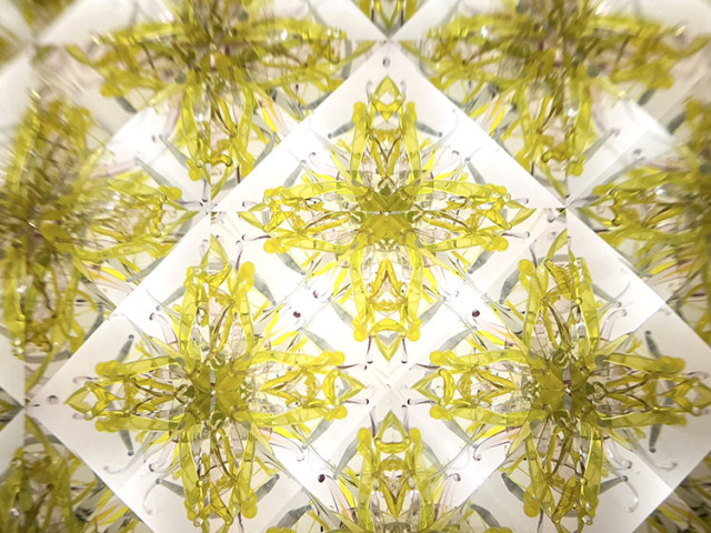 溝口 朋瑛「rasen deux clear PY」（MZ7007）3ミラー・ドライタイプ