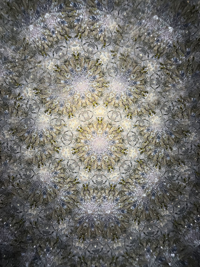 溝口_MZ8008_23