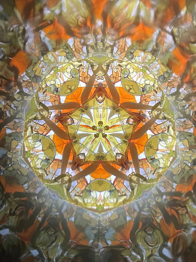 溝口_MZ801_14