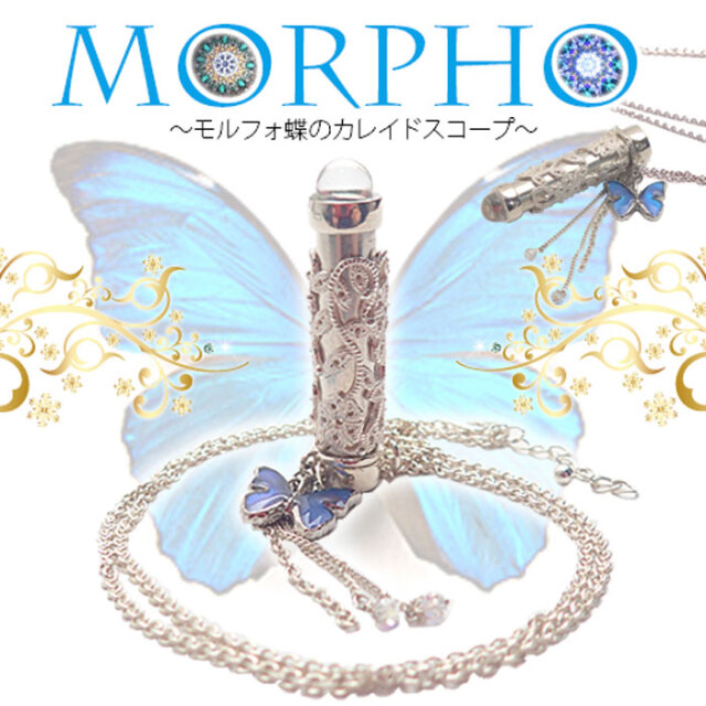 関一_アニマル_モルフォ蝶