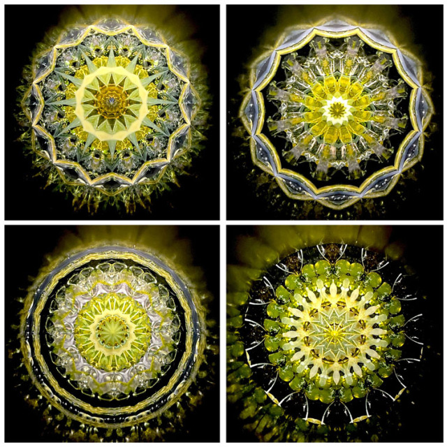 小野寺慶子_OK6010_1