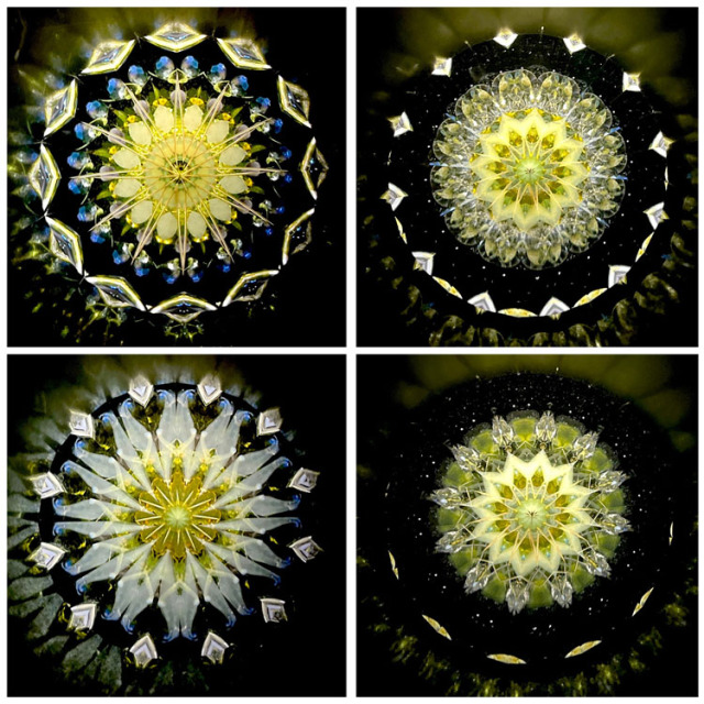 小野寺慶子_OK6010_2