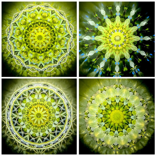 小野寺慶子_OK6010_4