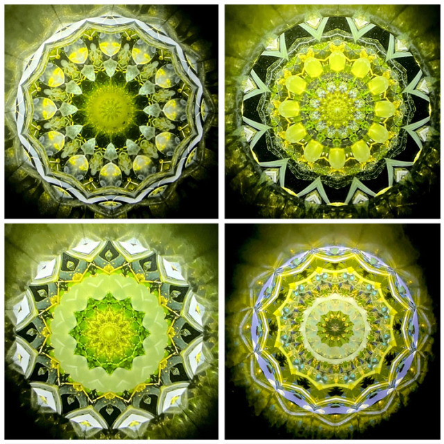 小野寺慶子_OK6010_5