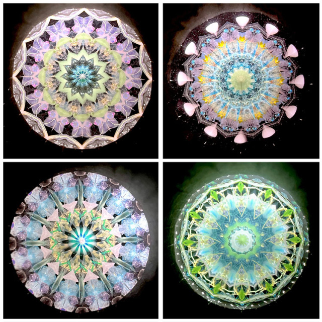 小野寺慶子_OK6017_2